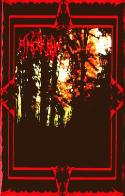 In the Dark Northern Moonlight